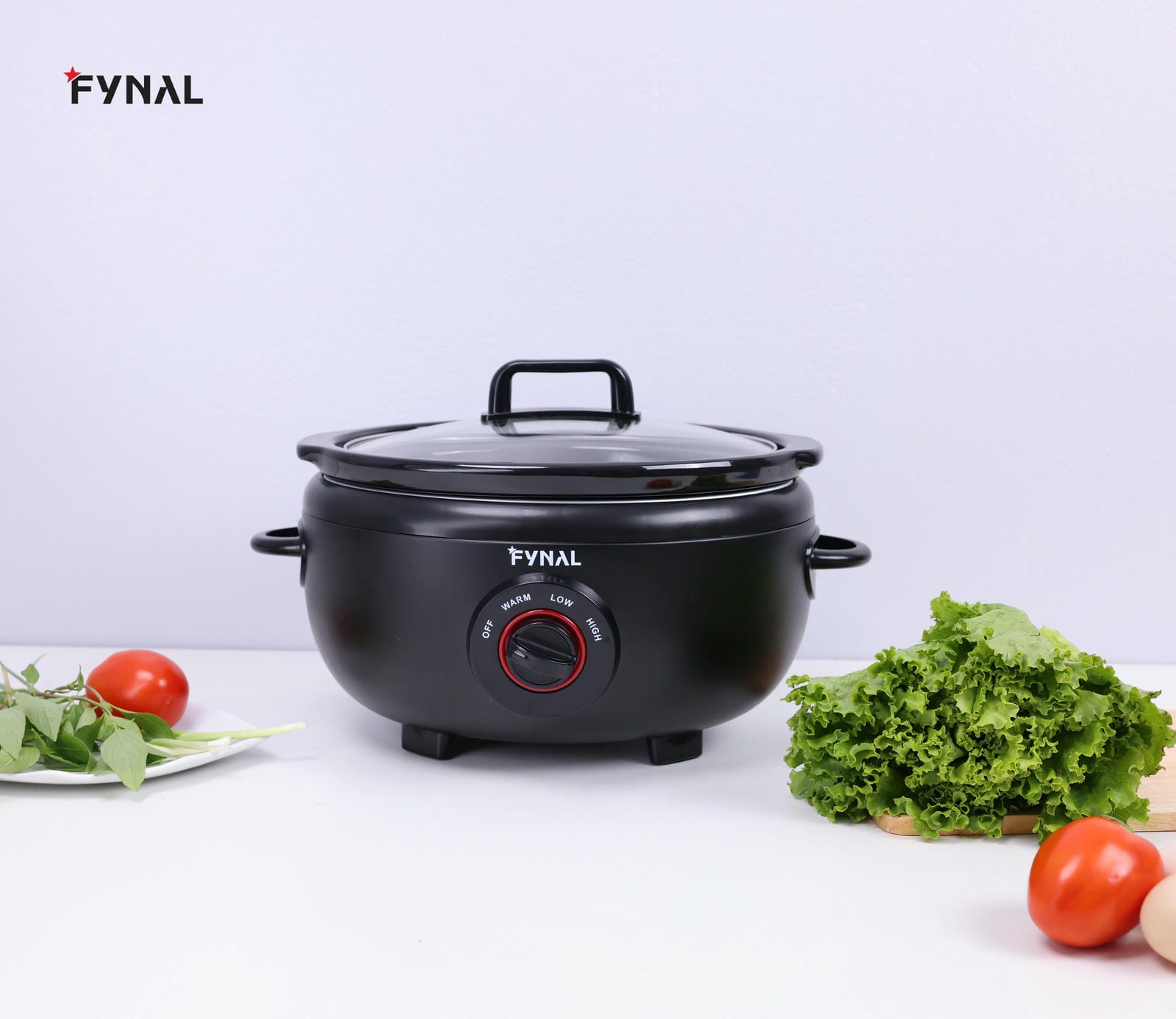 Nồi nấu chậm Fynal Fn-SC401